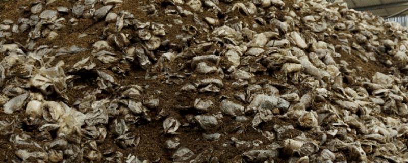 菜油枯怎样发酵做肥料