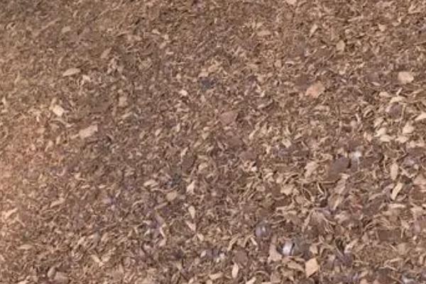 菜油枯怎样发酵做肥料,发酵后期一定要进行控温