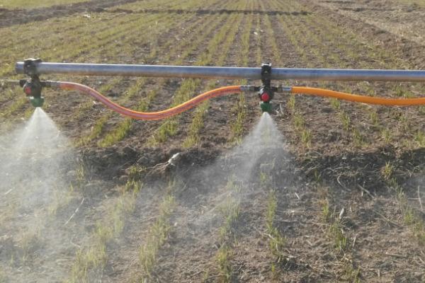 烯效唑有什么作用,可控制营养生长、增强作物的抗逆性