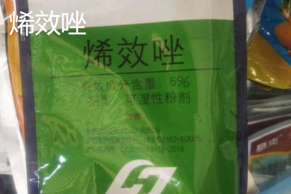 烯效唑有什么作用,可控制营养生长、增强作物的抗逆性