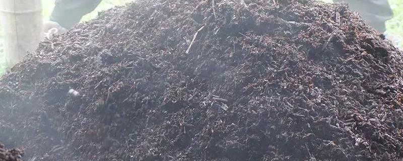 生活中有哪些可以利用的有机肥