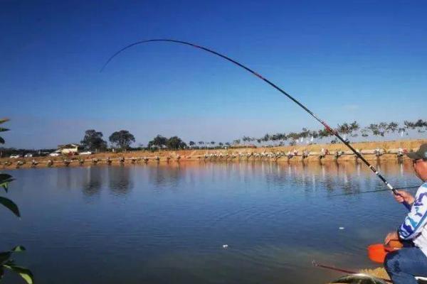 海钓鲈鱼要钓多深,10-40米的水层为适钓区域