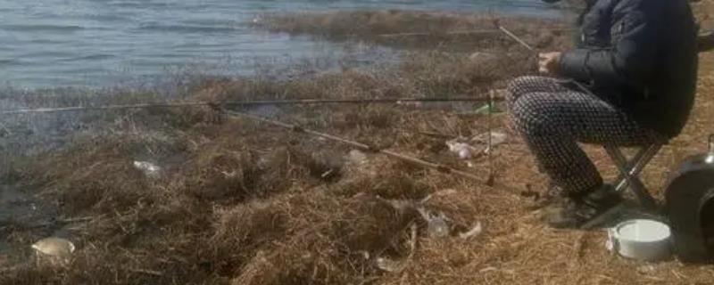 冬天刮西风适合在什么位置钓鱼