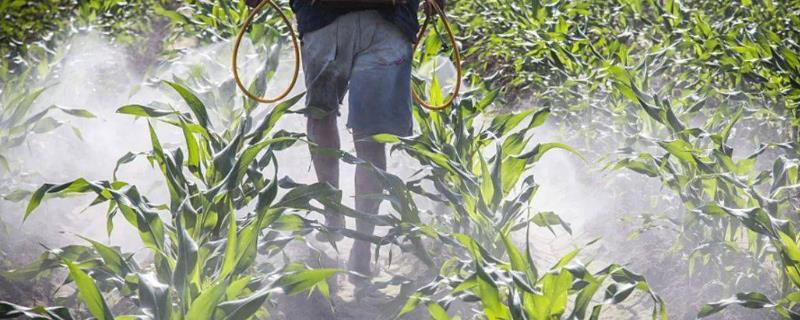 农药交叉混用需注意什么