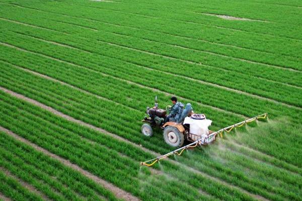 农药交叉混用需注意什么,菌类生物农药不能和化学农药混用
