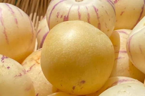 人参果的成熟时间,一般为9-11月份