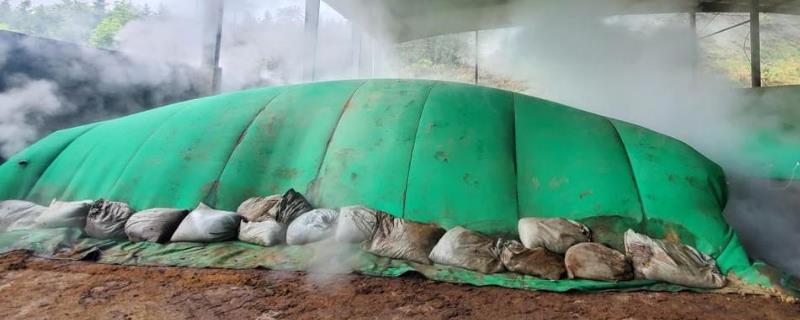 牛粪的发酵方法