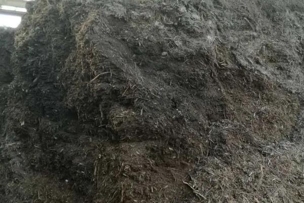 牛粪的发酵方法,要选用新鲜的粪便