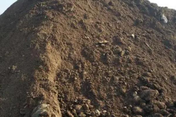 牛粪的发酵方法,要选用新鲜的粪便