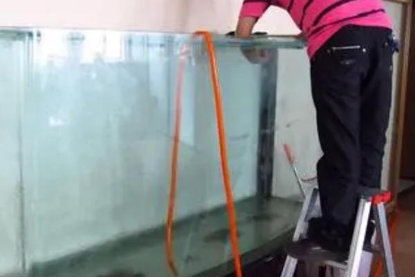 怎样清洗鱼缸内壁,可用刮藻刀来清理