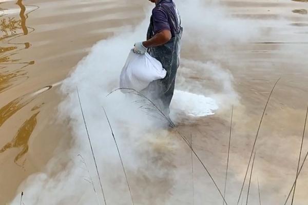 养殖石斑鱼的要求,需选择有活力、身体无太多损伤的鱼苗作为养殖对象