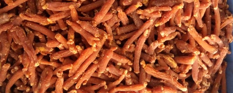 红参几年可以收获