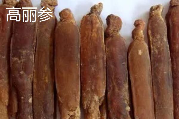 红参几年可以收获,一般6年可收获