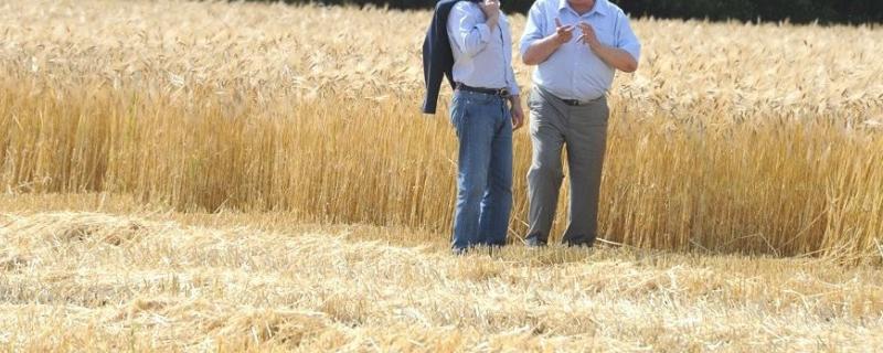 俄罗斯农业以什么为主