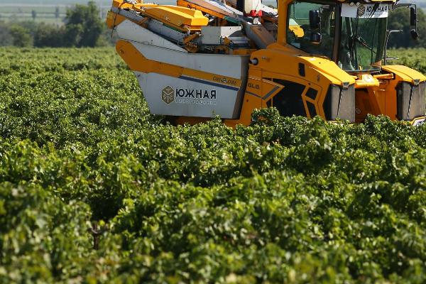 俄罗斯农业以什么为主,主要以畜牧业为主