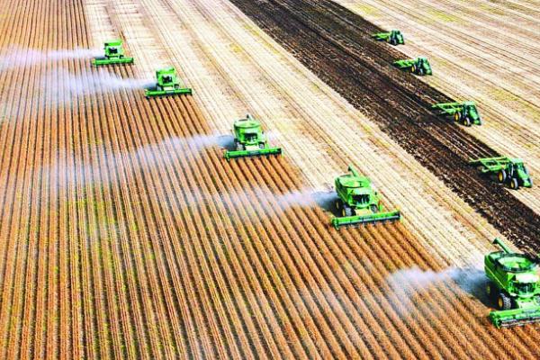 俄罗斯农业以什么为主,主要以畜牧业为主