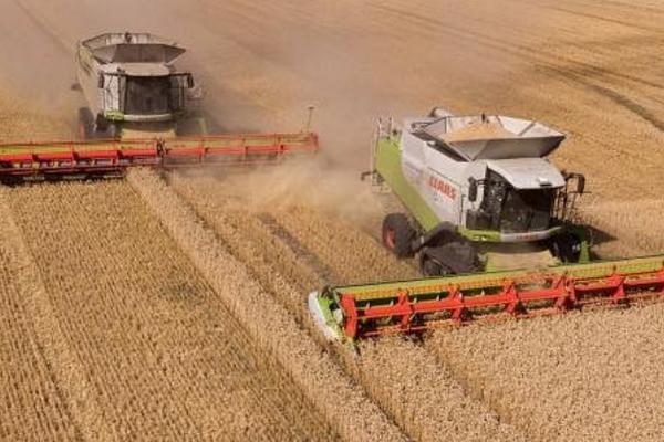 俄罗斯农业以什么为主,主要以畜牧业为主