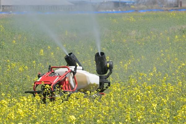 开春后怎么对油菜施肥，薹高3-5厘米时可亩施750-1000公斤人粪尿
