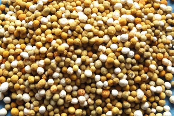 怎么使用稀土微肥,兑水溶解后、喷施至种子上即可