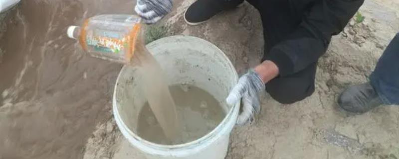 水溶肥兑水了可以放几天