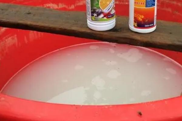 水溶肥兑水了可以放几天,通常可以存放1-3天