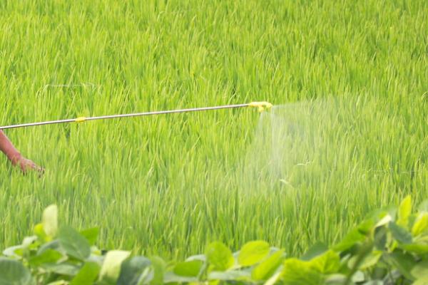 水溶肥兑水了可以放几天,通常可以存放1-3天