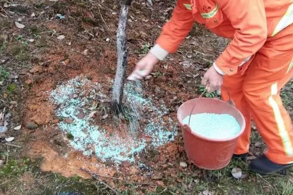 农用硼砂的使用方法，可以用作基肥