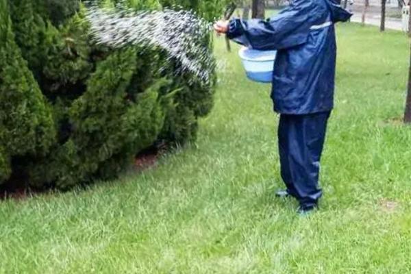 农用硼砂的使用方法，可以用作基肥