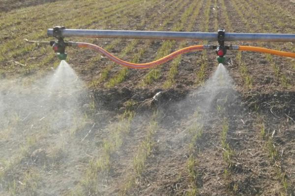 啶虫脒的作用,可有效防治白粉虱、叶蝉、烟粉等害虫