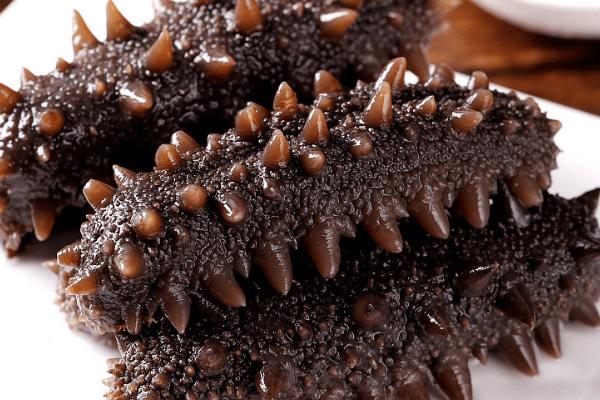 海参有哪些特性,具有夏眠习性、身体器官可再生