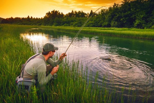 秋季怎么垂钓翘嘴鱼,可将出水口、水草丛作为钓点