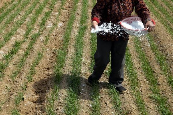 小麦4月份还能追肥吗，4月份能追肥