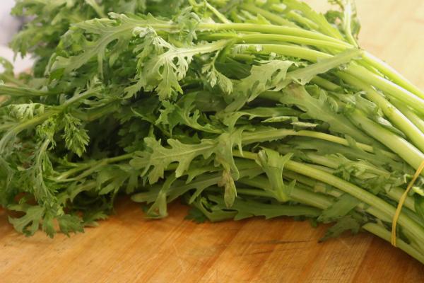 哪些蔬菜适合在3月份种植,白菜、萝卜、韭菜等品种可以选种