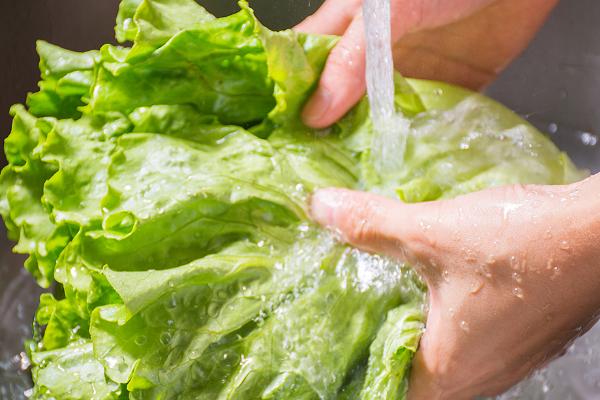 哪些蔬菜适合在3月份种植,白菜、萝卜、韭菜等品种可以选种