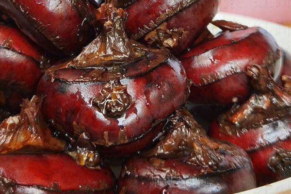 马蹄果喜阴还是喜阳，是一种喜阴作物