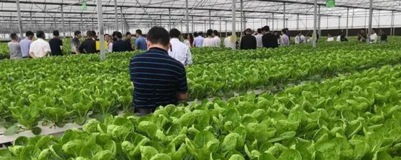 农业技术创新的特点