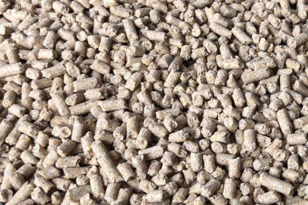 金鱼会不会吃小鱼，饥饿时会吞食小型鱼类