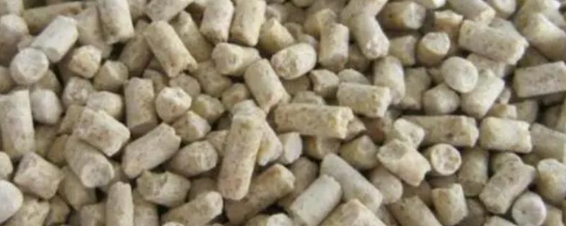 小鸡的饲料和大鸡的一样吗