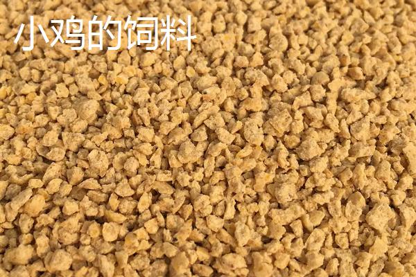 小鸡的饲料和大鸡的一样吗，不同阶段的鸡应喂食相对应的鸡饲料