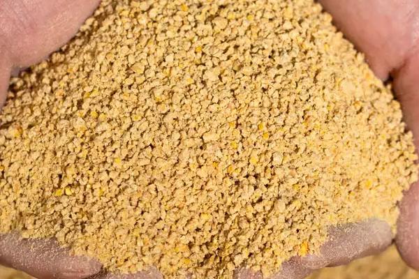 小鸡的饲料和大鸡的一样吗，不同阶段的鸡应喂食相对应的鸡饲料