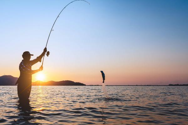 浮钓鲢鳙钩距多少合适，可以控制在4到10厘米之间