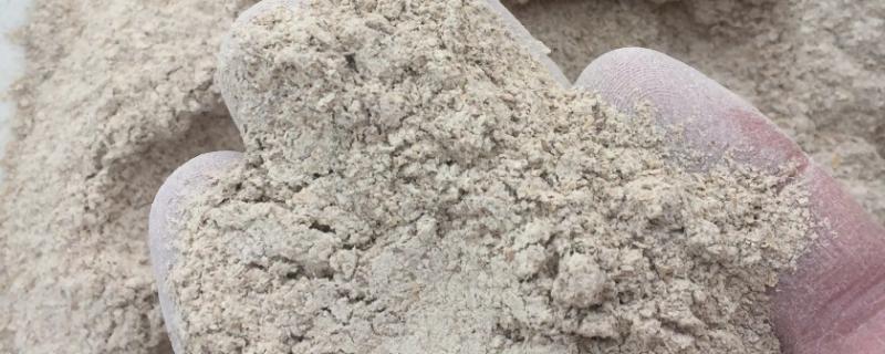 球孢白僵菌的特点