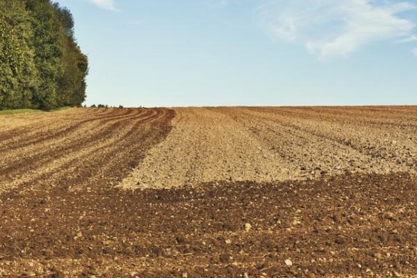 耕地等级划分，1-4等为优等地、5-8等为高等地