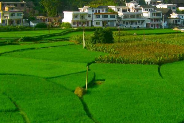 耕地等级划分，1-4等为优等地、5-8等为高等地