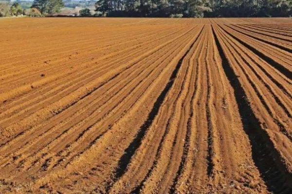 耕地等级划分，1-4等为优等地、5-8等为高等地