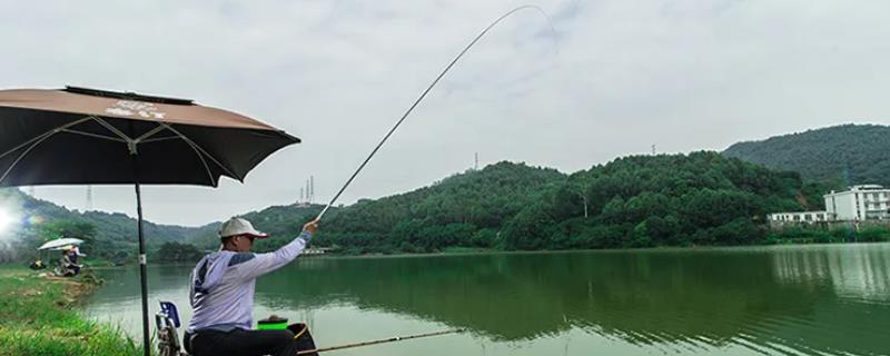 六月份钓鱼钓深还是钓浅