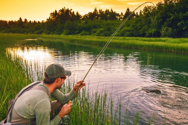 六月份钓鱼钓深还是钓浅,钓浅更合适一些