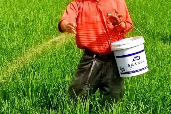东北水稻的施肥原则，重视稻田土壤培肥