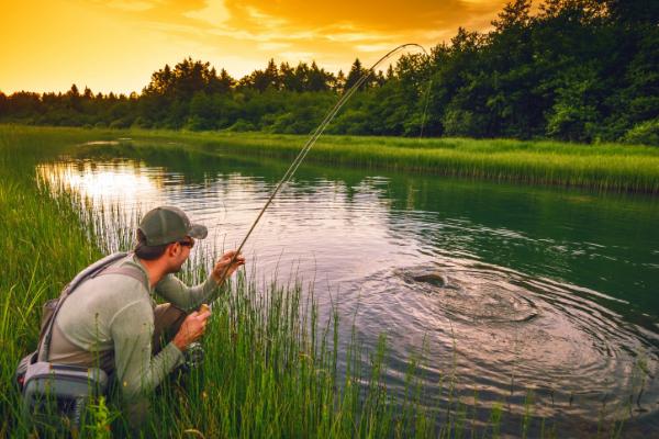 鲢鱼饵料配方，可以用玉米粉自制酸味的饵料