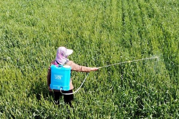 杀虫单简介，对蚕毒性强